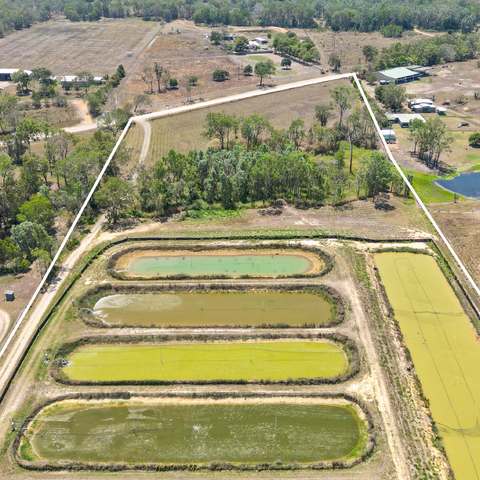 586 Hodzic Road, Biboohra For Sale by Farmbuy.com - image 10
