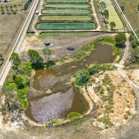 586 Hodzic Road, Biboohra For Sale by Farmbuy.com - image 9