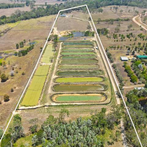 586 Hodzic Road, Biboohra For Sale by Farmbuy.com - image 4
