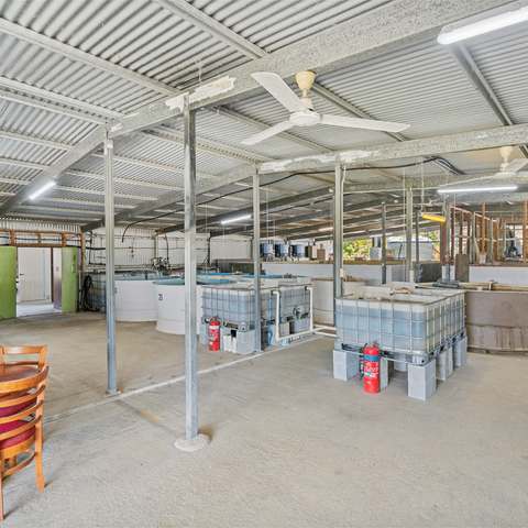 586 Hodzic Road, Biboohra For Sale by Farmbuy.com - image 21