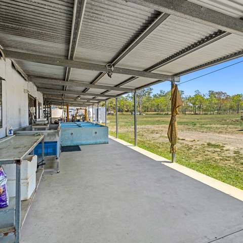 586 Hodzic Road, Biboohra For Sale by Farmbuy.com - image 15
