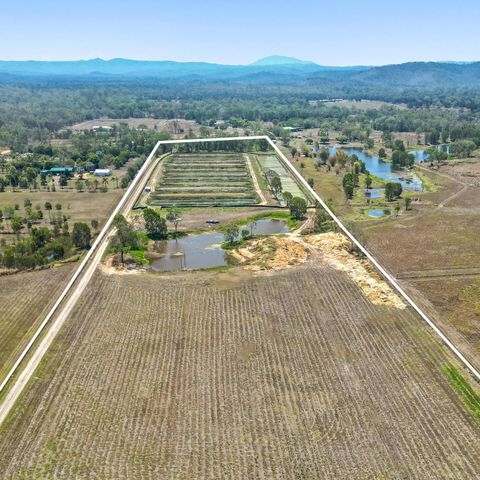 586 Hodzic Road, Biboohra For Sale by Farmbuy.com - image 11