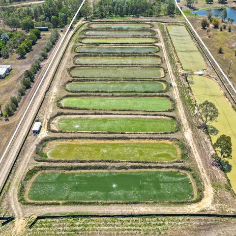 586 Hodzic Road, Biboohra For Sale by Farmbuy.com - image 8