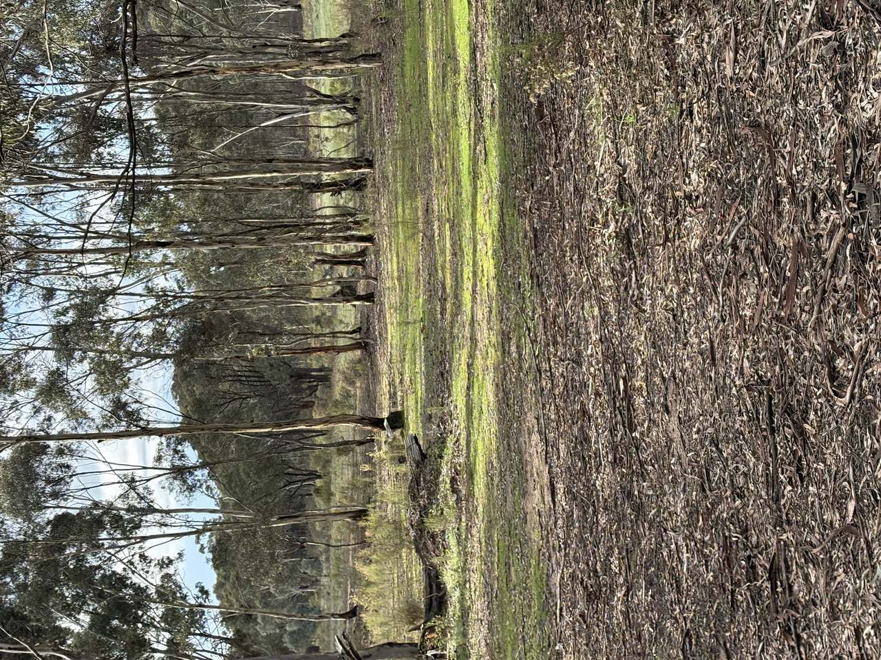 Lot 7B Cemetery Rd , Redbank For Sale by Farmbuy.com - image 4