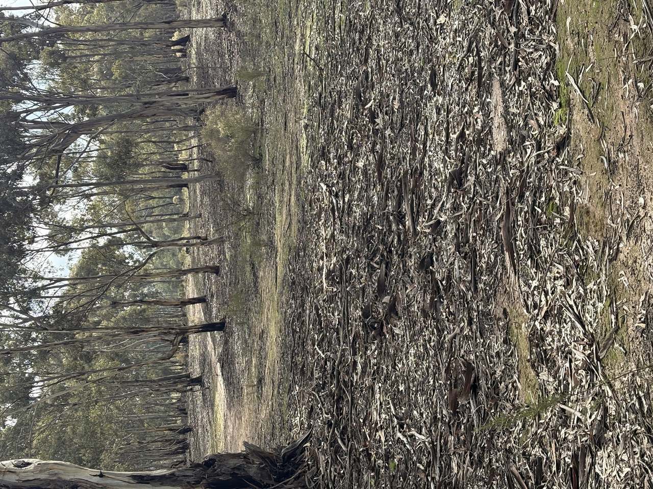 Lot 7B Cemetery Rd , Redbank For Sale by Farmbuy.com - image 3