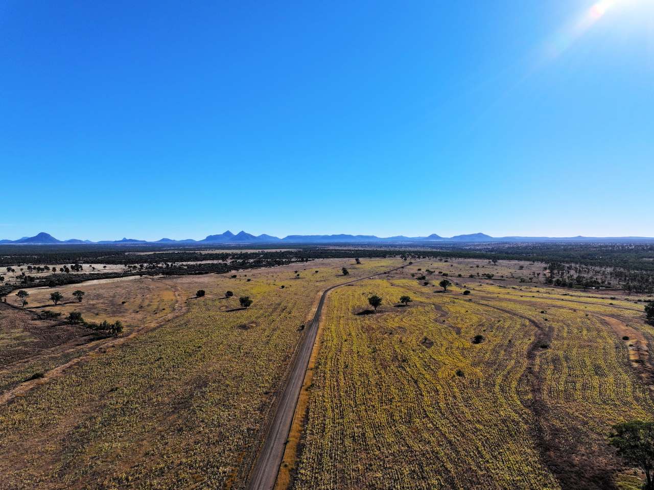 2005 Malvern Road , Capella Auction by Farmbuy.com - image 3