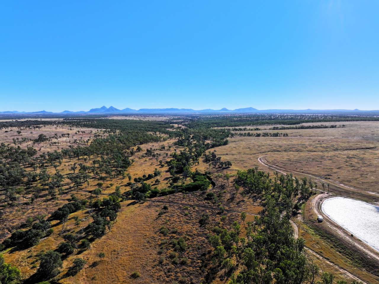 2005 Malvern Road , Capella Auction by Farmbuy.com - image 1