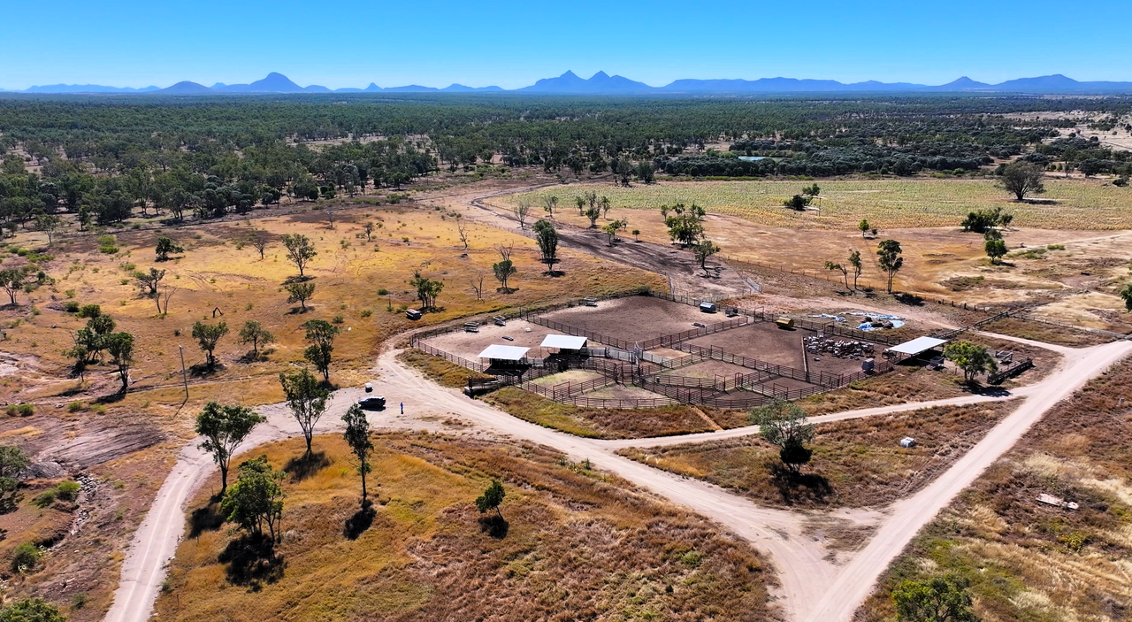 2005 Malvern Road , Capella Auction by Farmbuy.com - image 5