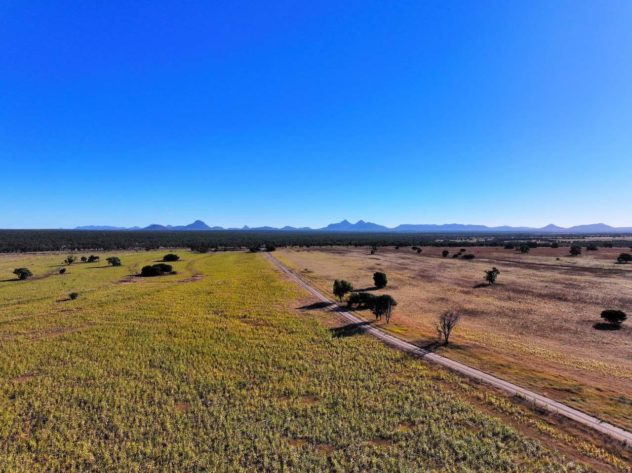 2005 Malvern Road , Capella Auction by Farmbuy.com - image 2