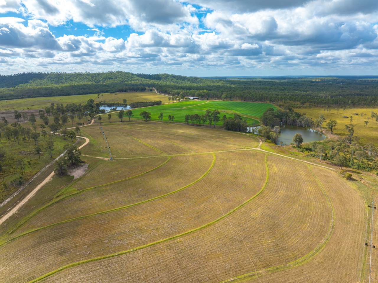 930 Berries Road, Golden Fleece For Sale by Farmbuy.com - image 9