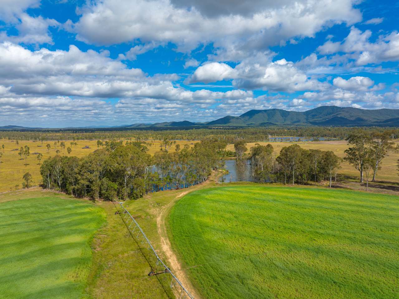 930 Berries Road, Golden Fleece For Sale by Farmbuy.com - image 2