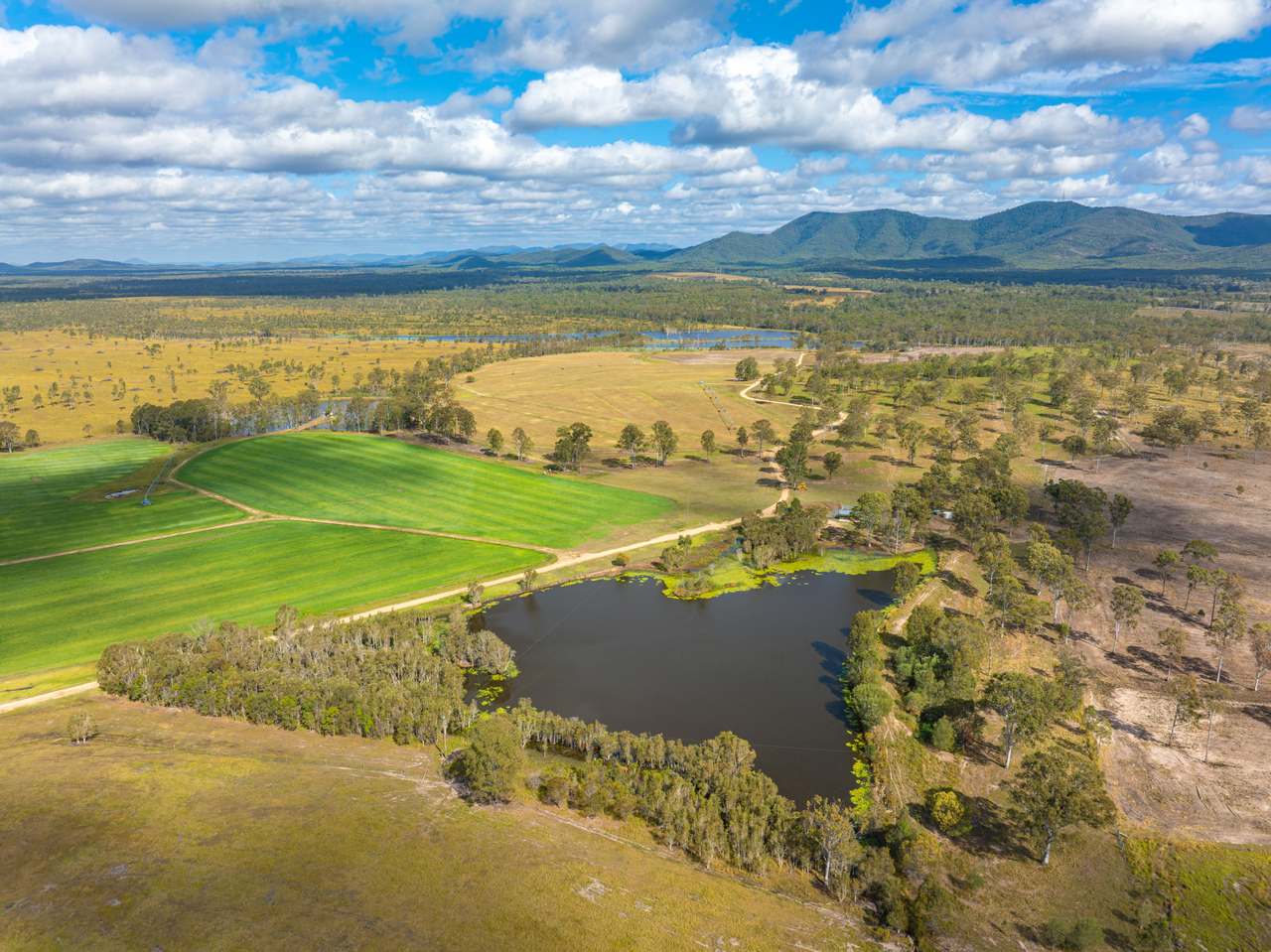 930 Berries Road, Golden Fleece For Sale by Farmbuy.com - image 8