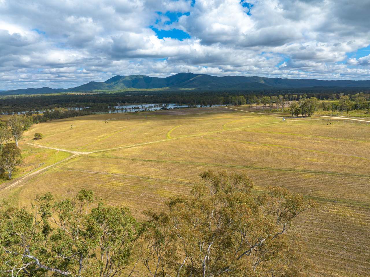 930 Berries Road, Golden Fleece For Sale by Farmbuy.com - image 10