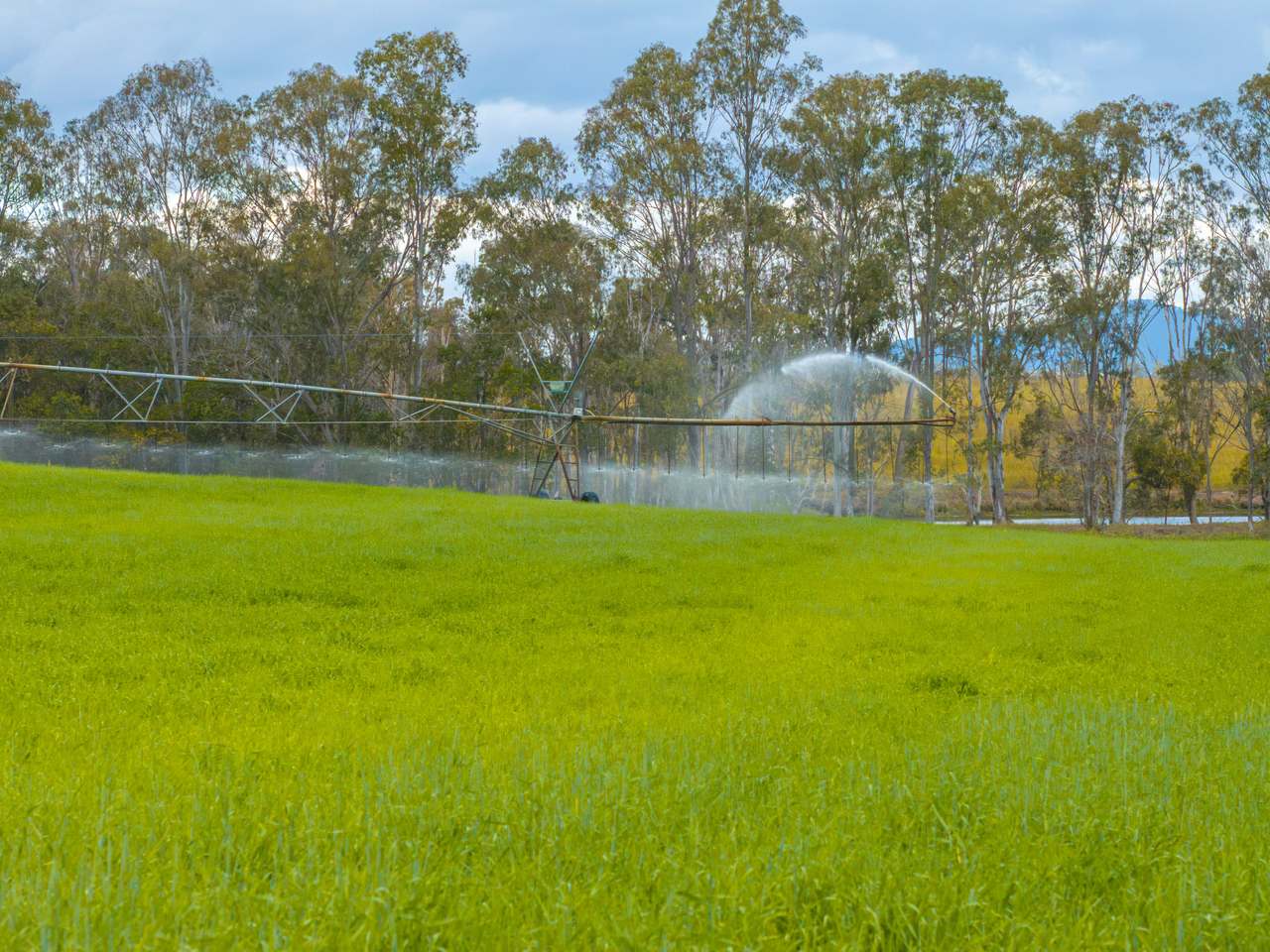 930 Berries Road, Golden Fleece For Sale by Farmbuy.com - image 4