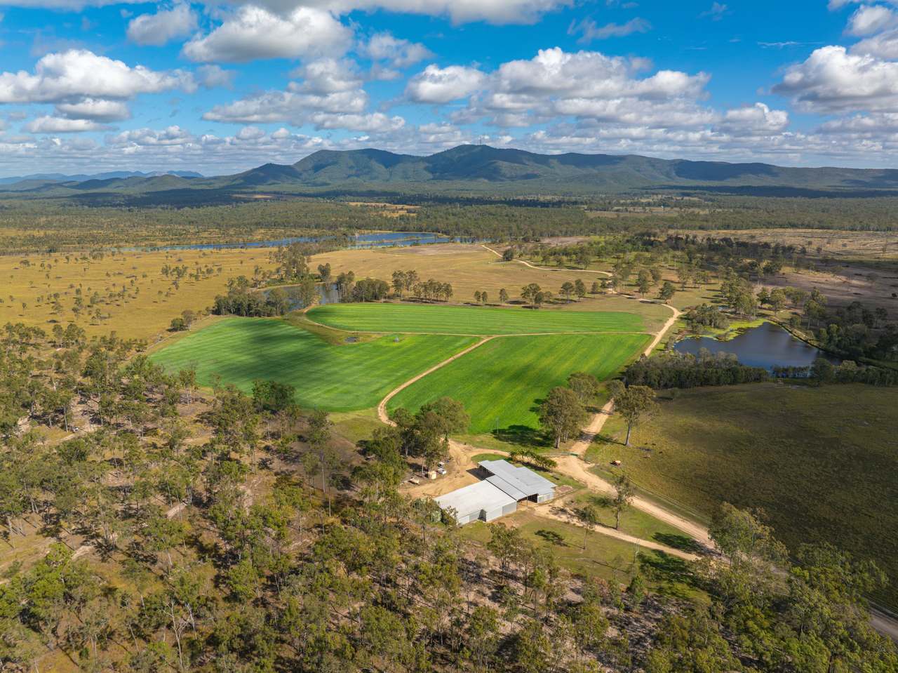 930 Berries Road, Golden Fleece For Sale by Farmbuy.com - image 11