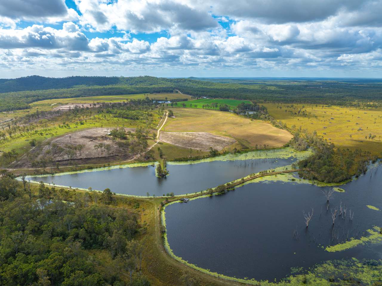 930 Berries Road, Golden Fleece For Sale by Farmbuy.com - image 7