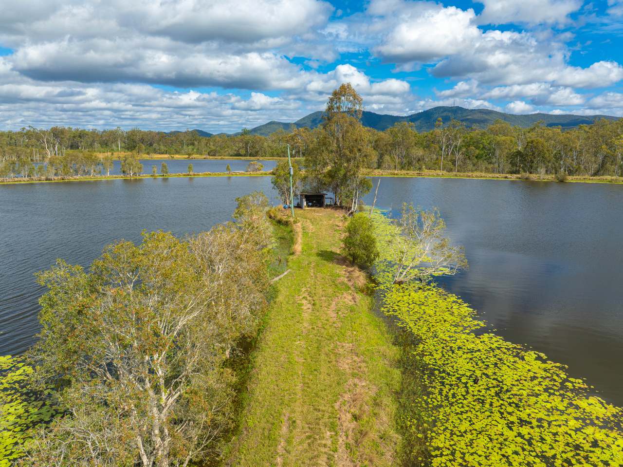 930 Berries Road, Golden Fleece For Sale by Farmbuy.com - image 5