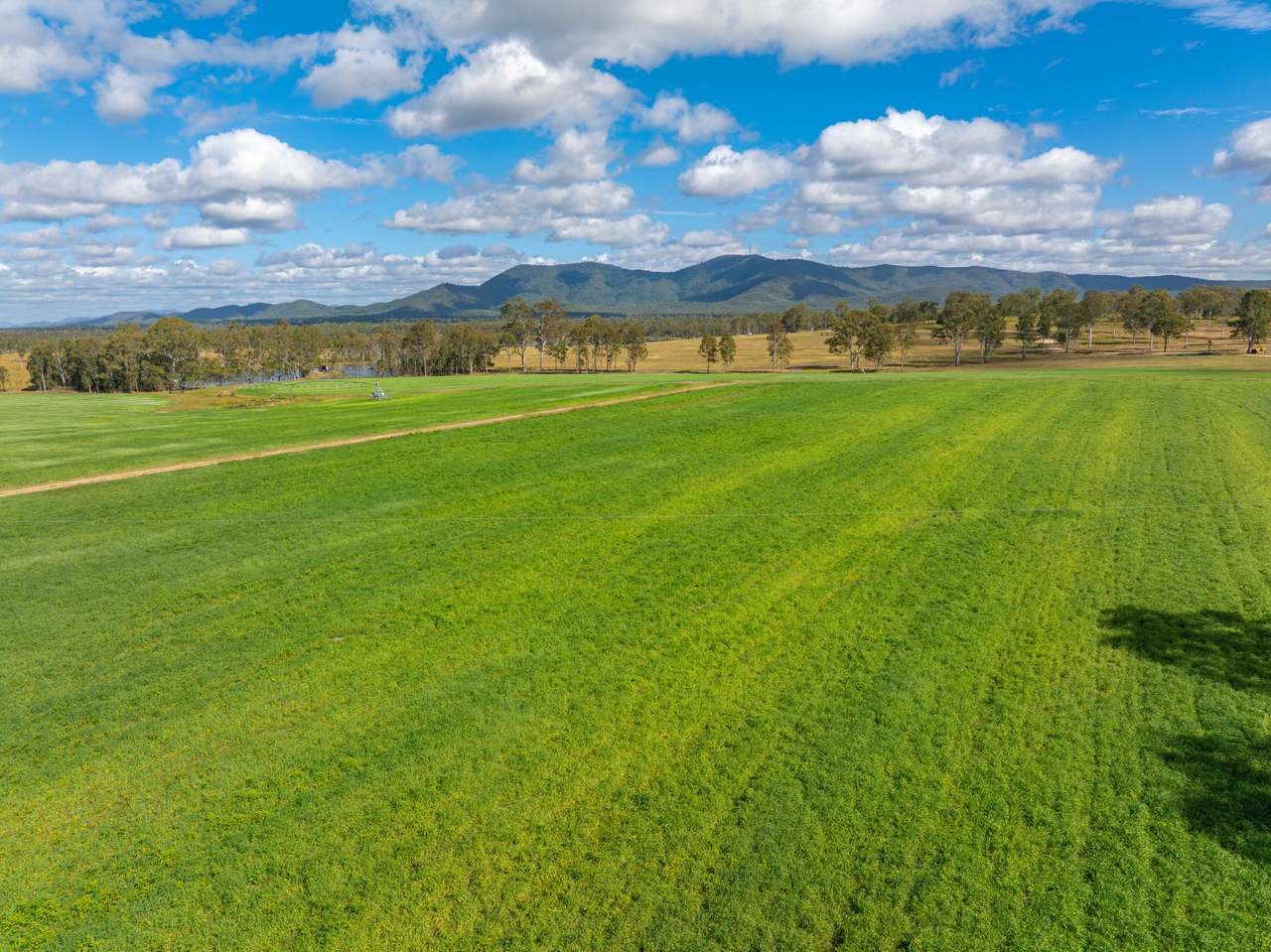 930 Berries Road, Golden Fleece For Sale by Farmbuy.com - image 3