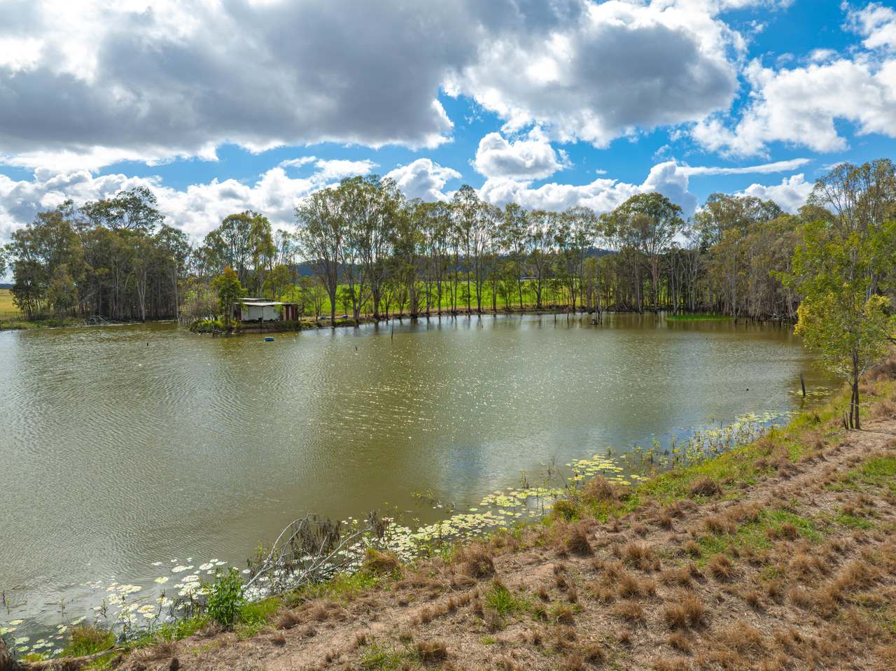 930 Berries Road, Golden Fleece For Sale by Farmbuy.com - image 25
