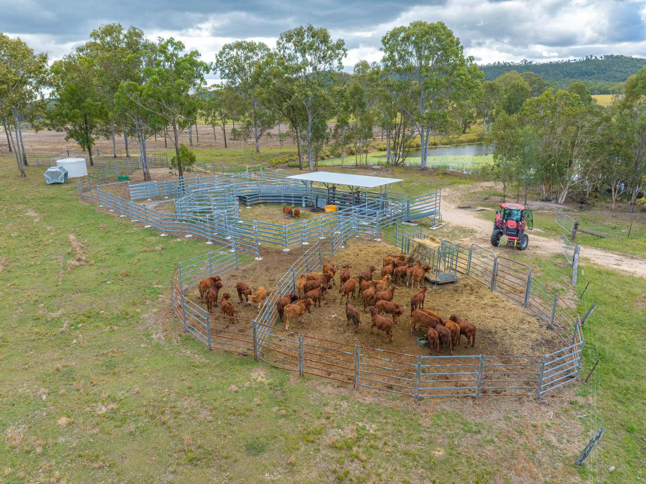 930 Berries Road, Golden Fleece For Sale by Farmbuy.com - image 23