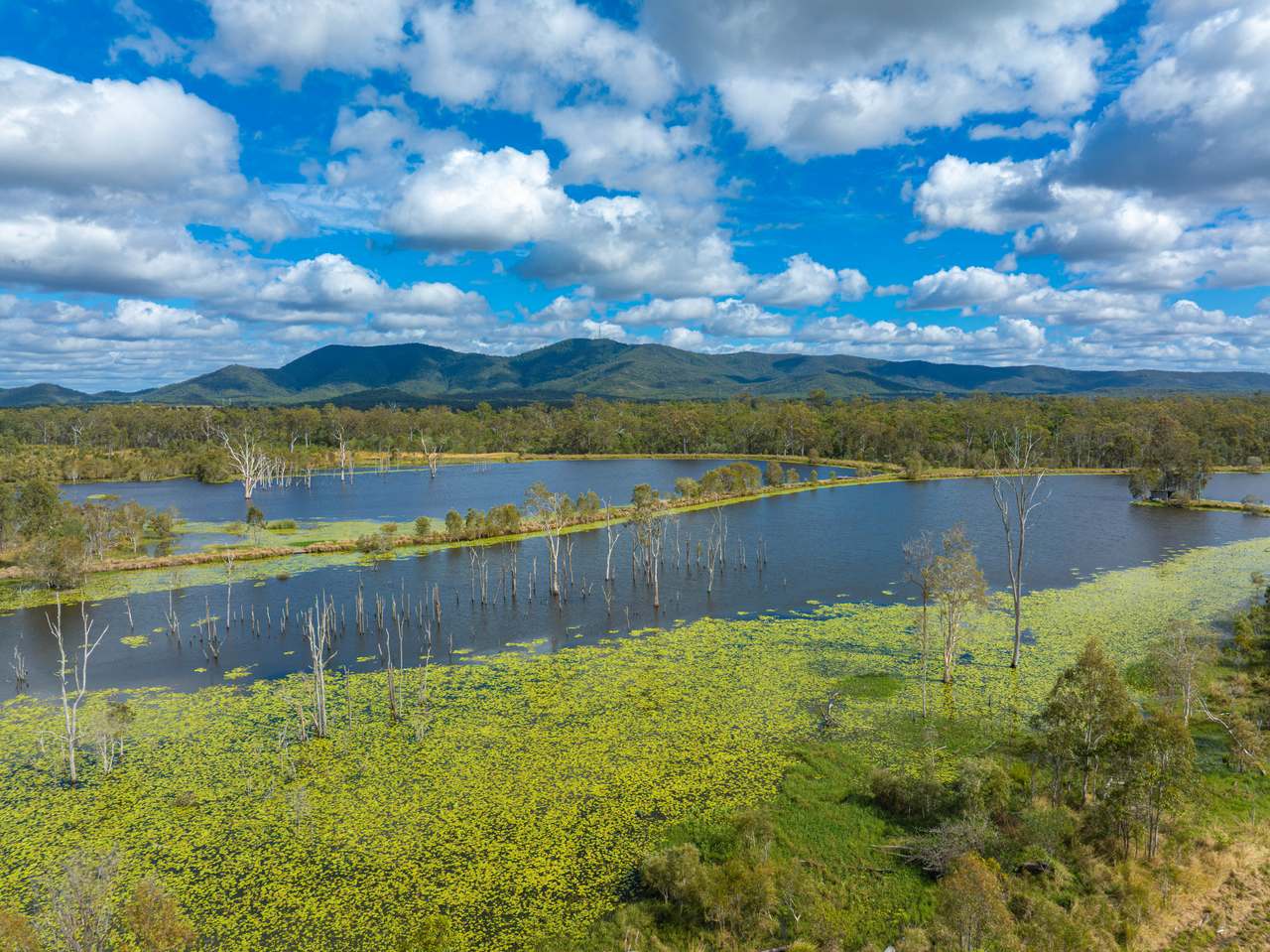 930 Berries Road, Golden Fleece For Sale by Farmbuy.com - image 6