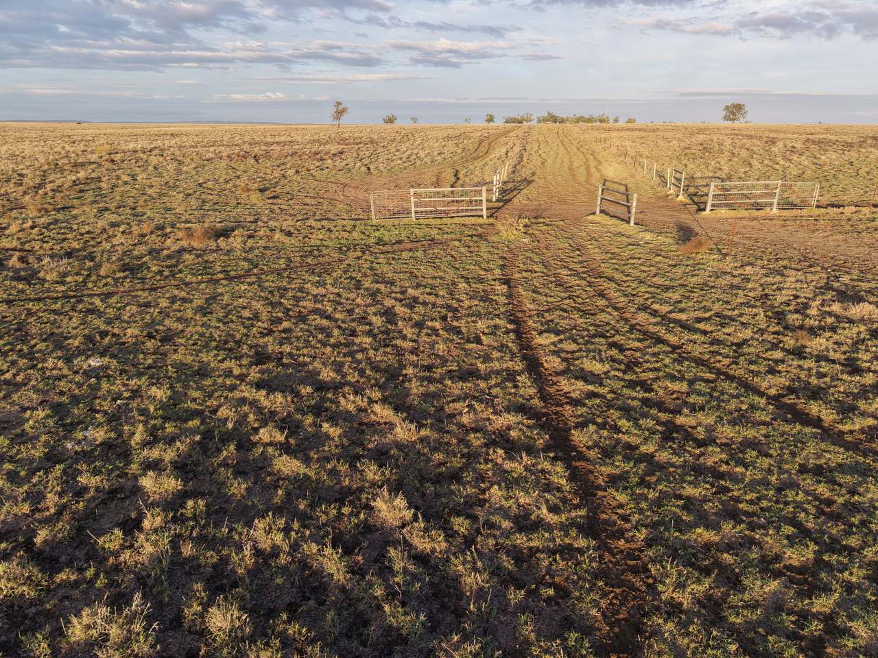 598 Surat Development Road, Surat Auction by Farmbuy.com - image 14