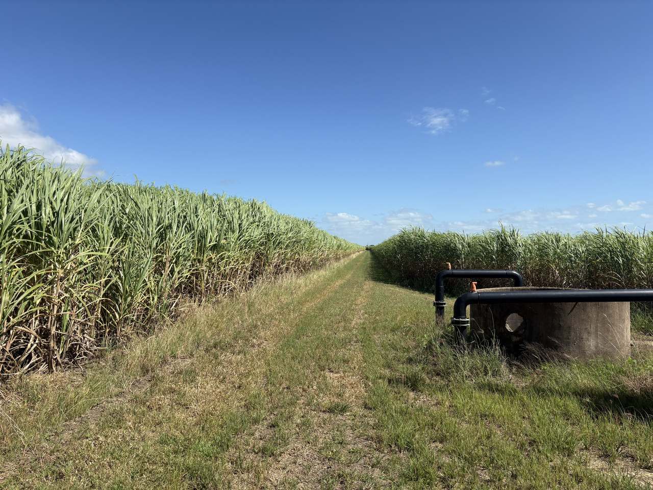 110 Georgees Road, Home Hill For Sale by Farmbuy.com - image 12