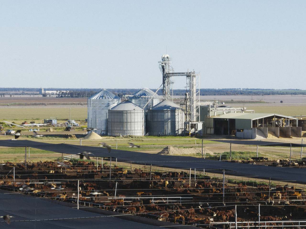Myola Feedlot, North Star For Sale by Farmbuy.com - image 3
