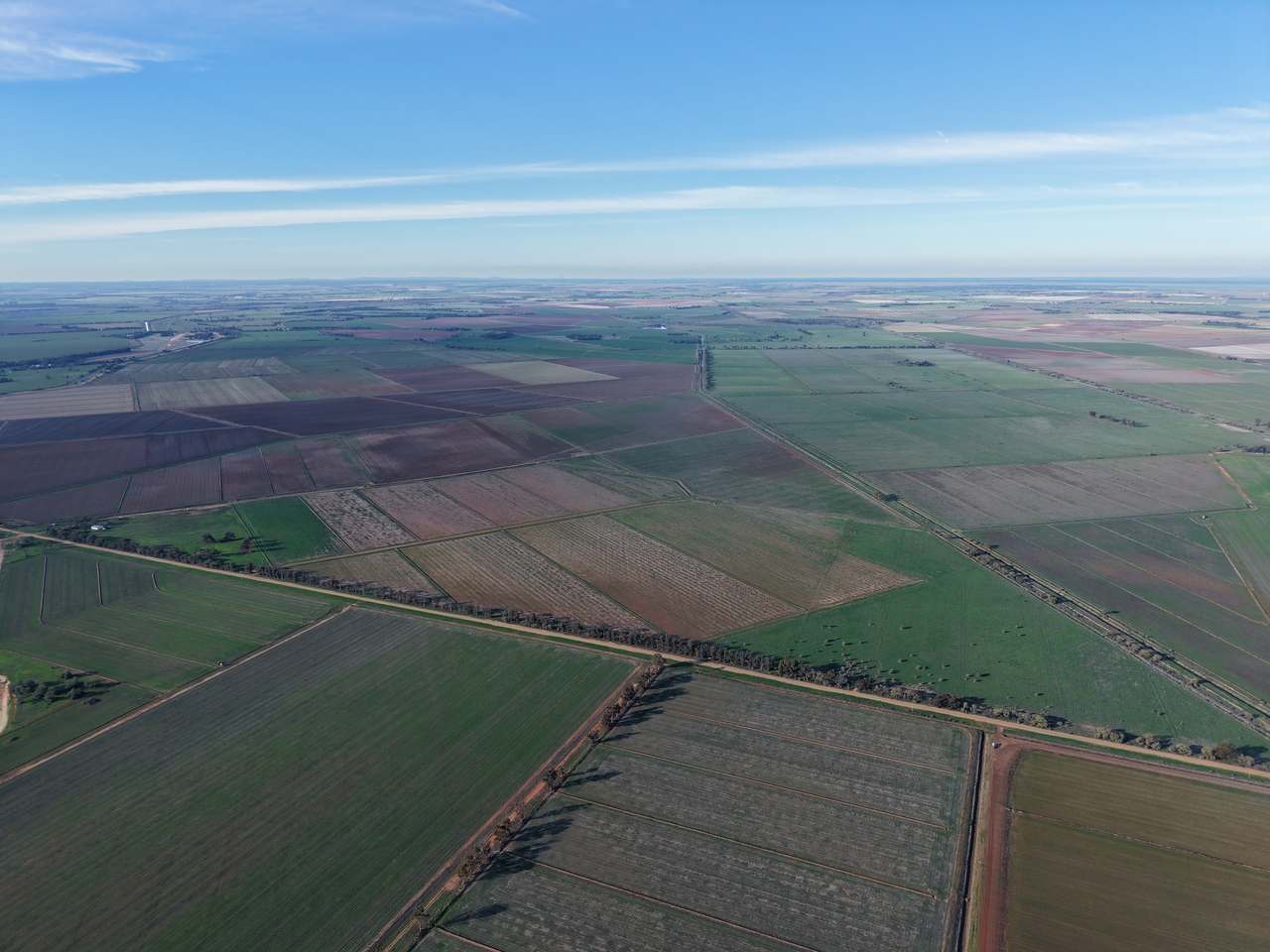 Wood Road, Coleambally For Sale by Farmbuy.com - image 5