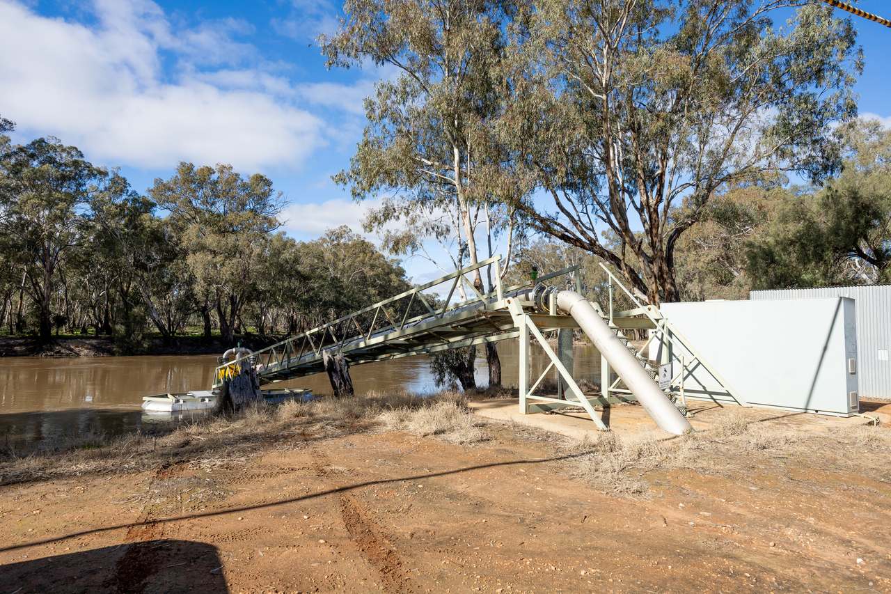 213 Hayward Road, Piangil For Sale by Farmbuy.com - image 20