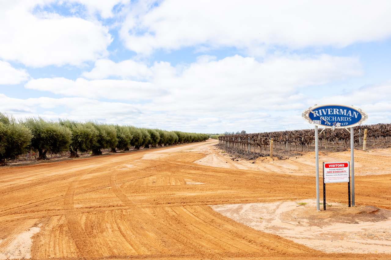 213 Hayward Road, Piangil For Sale by Farmbuy.com - image 4