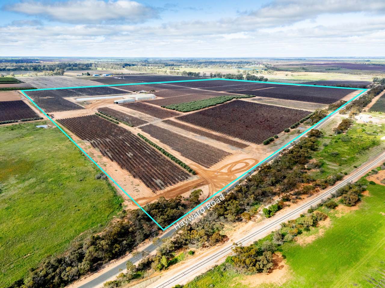 213 Hayward Road, Piangil For Sale by Farmbuy.com - image 1