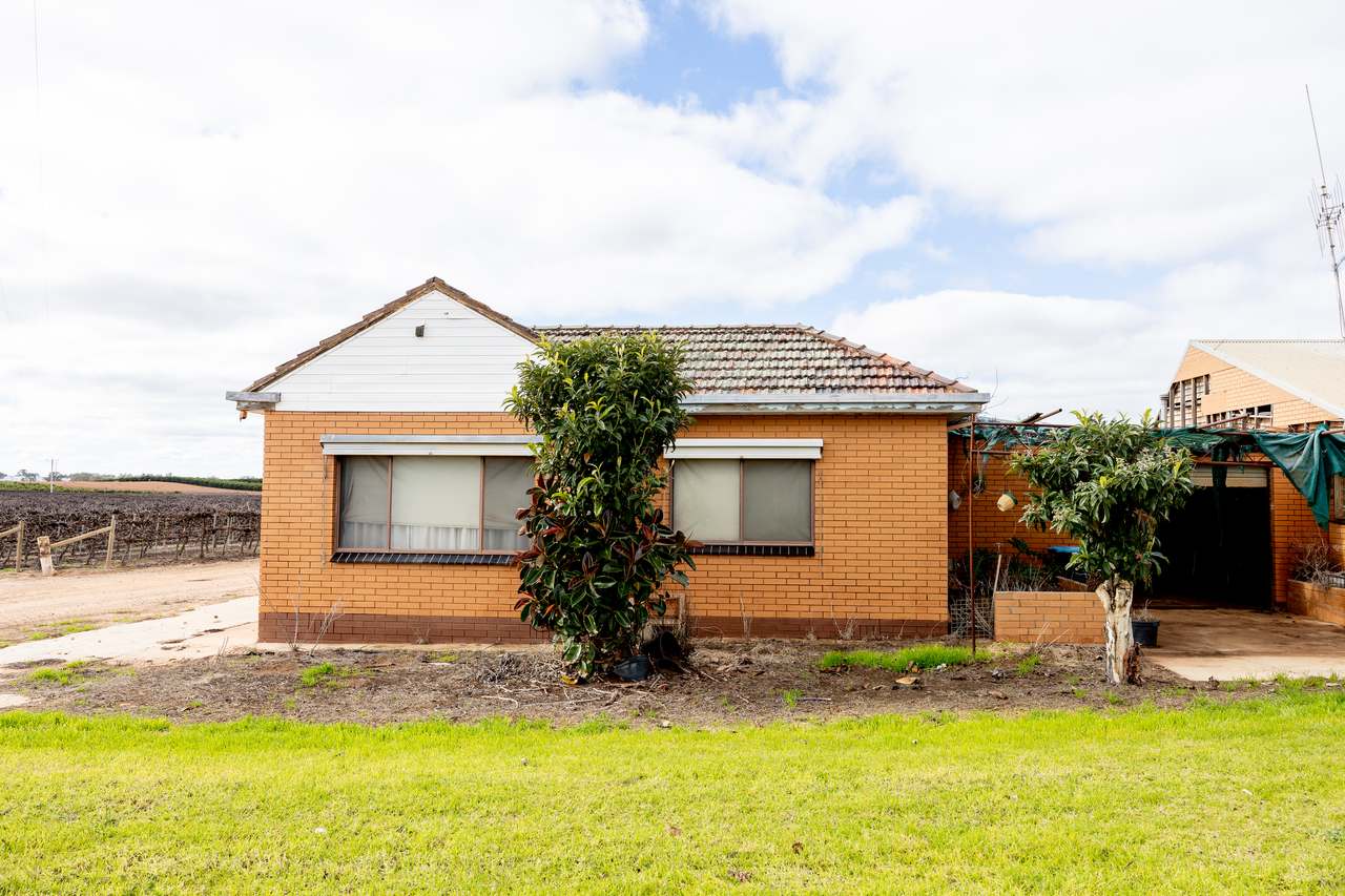 213 Hayward Road, Piangil For Sale by Farmbuy.com - image 12