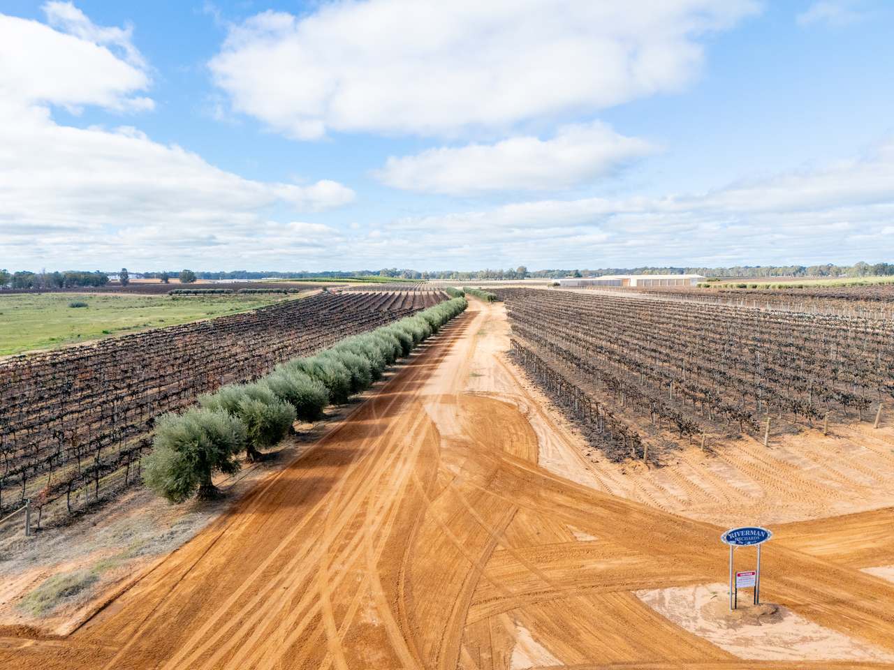 213 Hayward Road, Piangil For Sale by Farmbuy.com - image 3