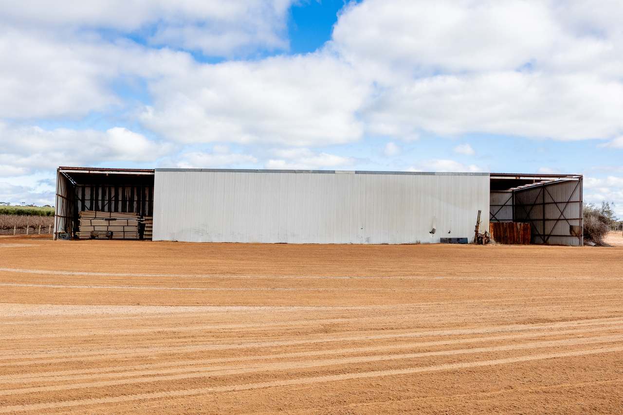 213 Hayward Road, Piangil For Sale by Farmbuy.com - image 10