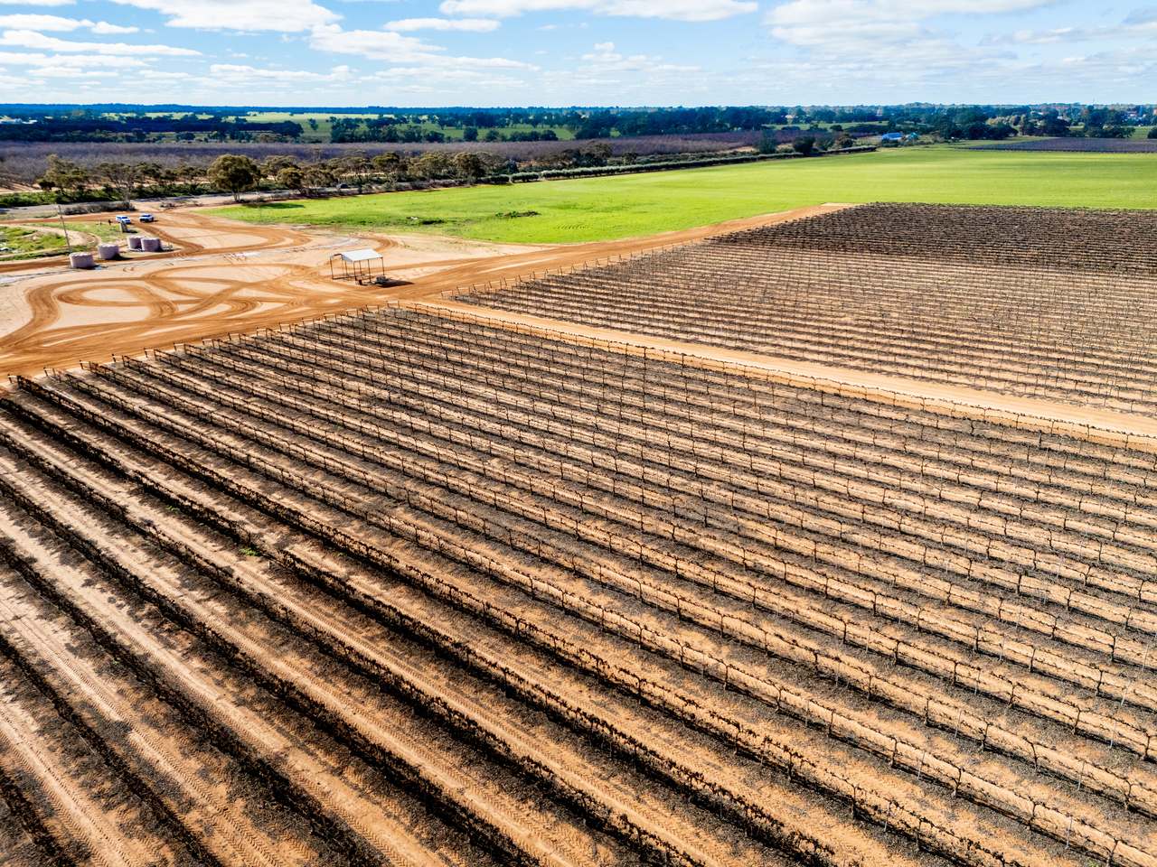 213 Hayward Road, Piangil For Sale by Farmbuy.com - image 16
