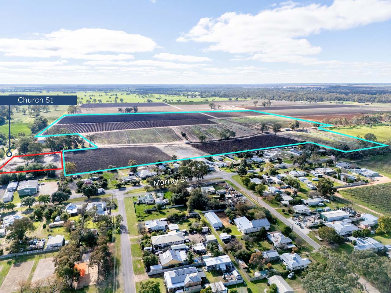 213 Hayward Road, Piangil For Sale by Farmbuy.com - image 19