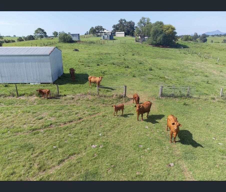219 Stanfield Road, Teviotville For Sale by Farmbuy.com - image 29