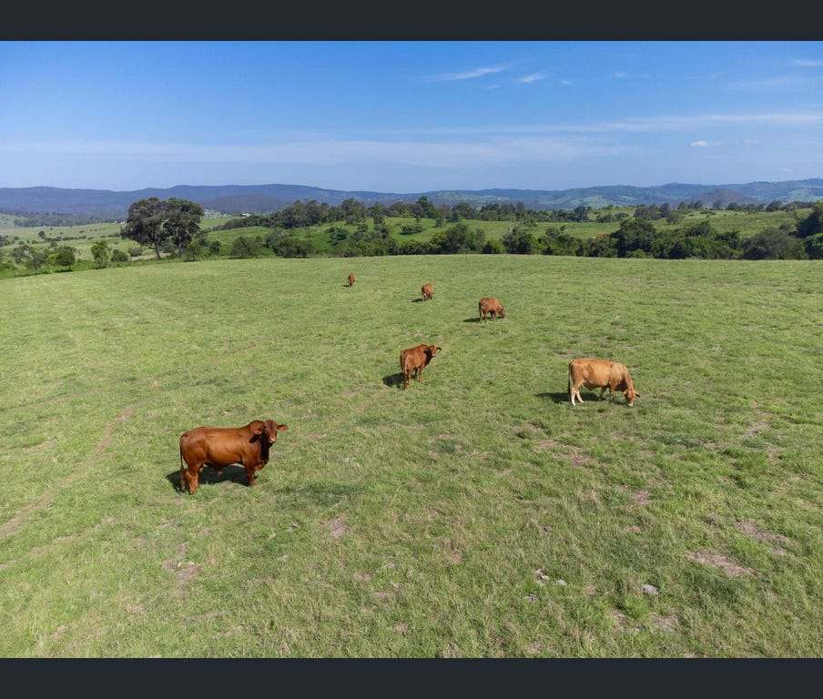 219 Stanfield Road, Teviotville For Sale by Farmbuy.com - image 28