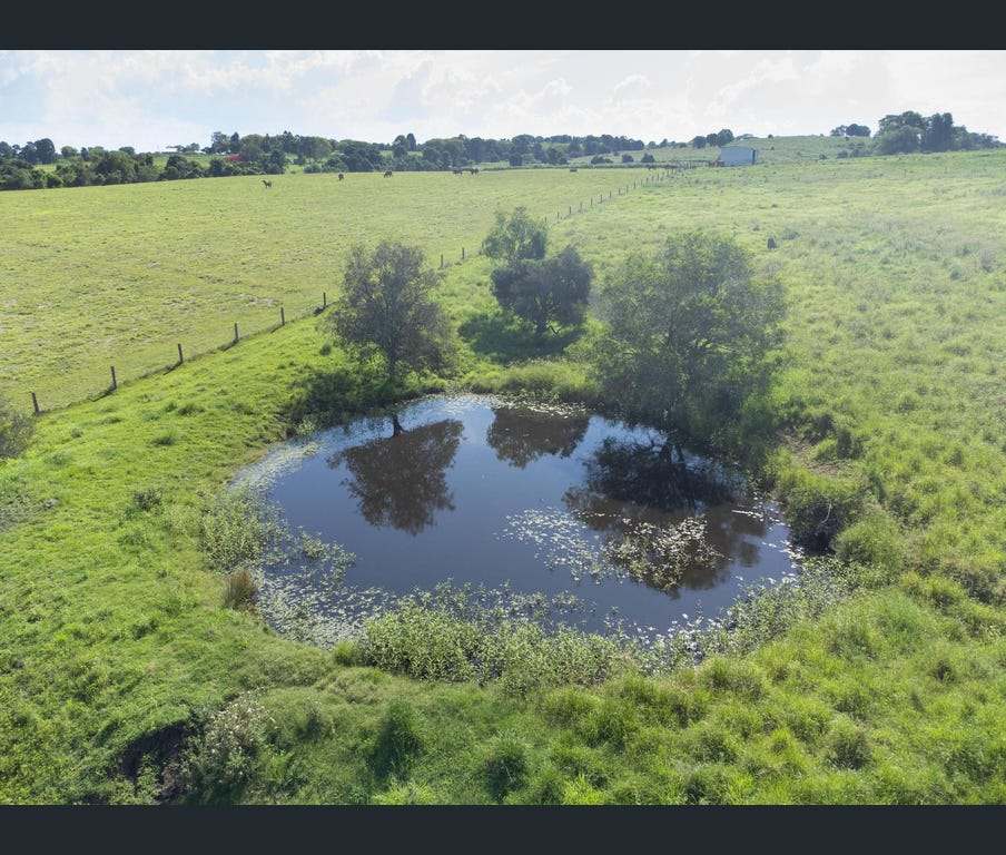219 Stanfield Road, Teviotville For Sale by Farmbuy.com - image 26
