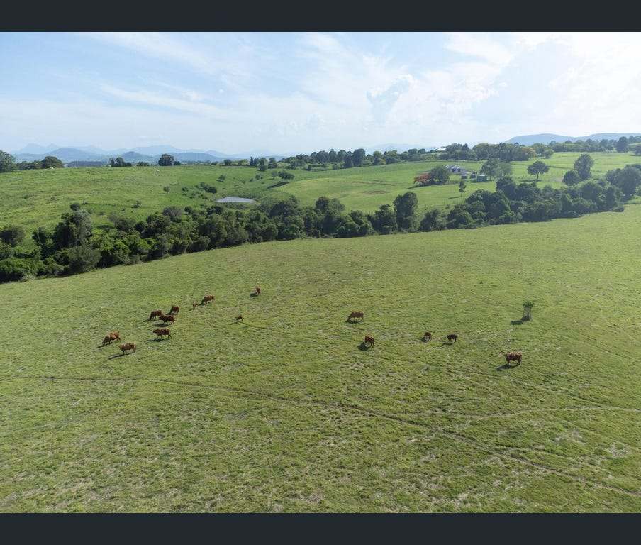 219 Stanfield Road, Teviotville For Sale by Farmbuy.com - image 32