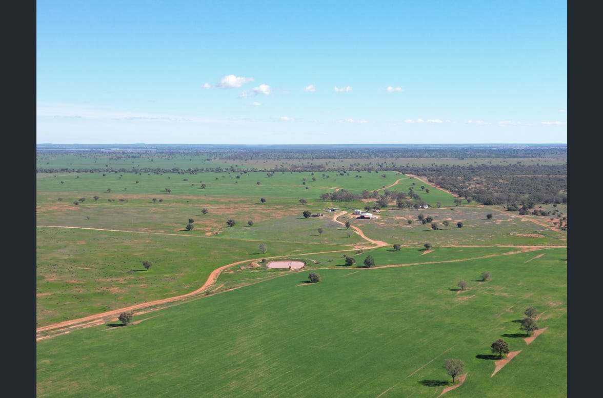 3847 Yarrandale Road, Hermidale For Sale by Farmbuy.com - image 3