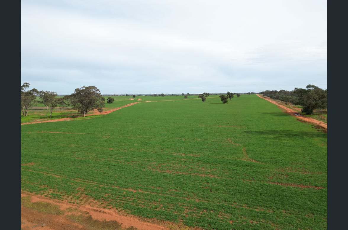3847 Yarrandale Road, Hermidale For Sale by Farmbuy.com - image 19