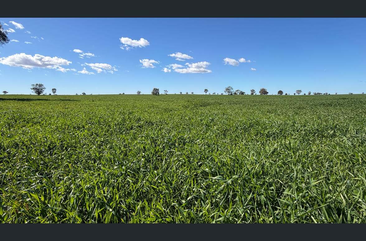 3847 Yarrandale Road, Hermidale For Sale by Farmbuy.com - image 1