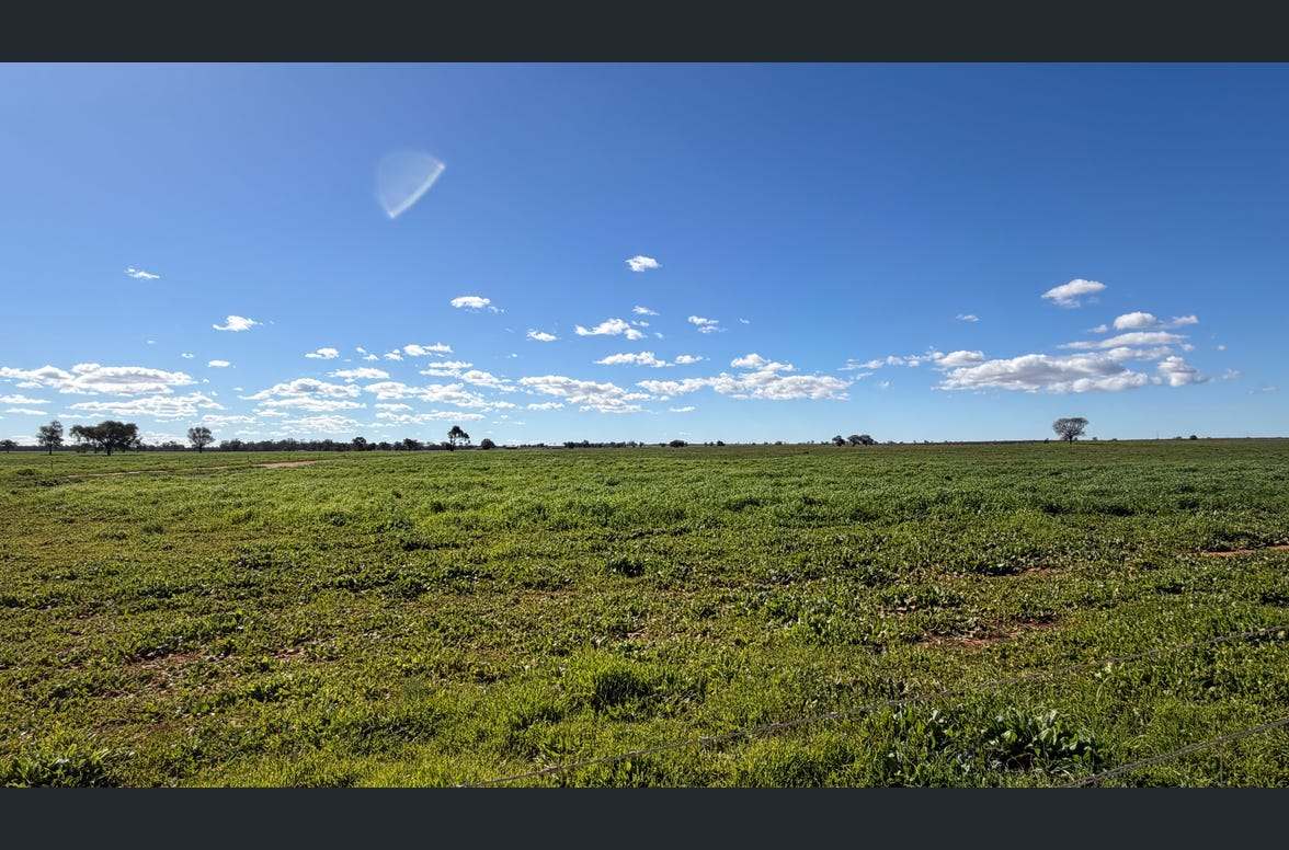 3847 Yarrandale Road, Hermidale For Sale by Farmbuy.com - image 5