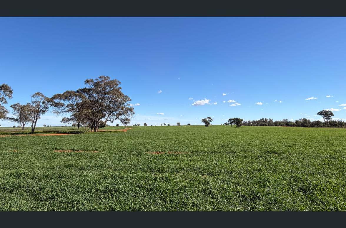3847 Yarrandale Road, Hermidale For Sale by Farmbuy.com - image 20