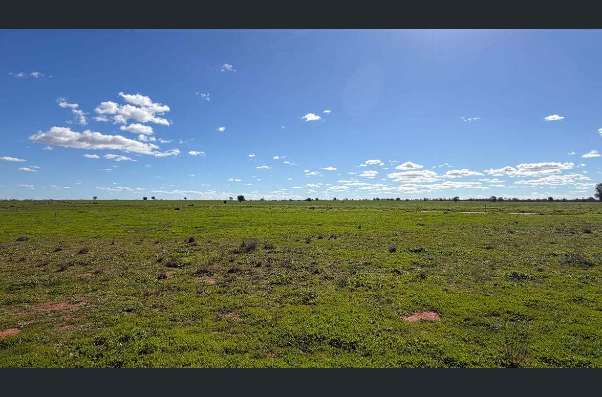 3847 Yarrandale Road, Hermidale For Sale by Farmbuy.com - image 6
