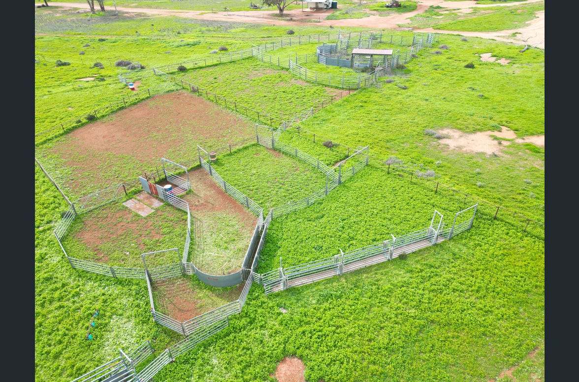 3847 Yarrandale Road, Hermidale For Sale by Farmbuy.com - image 17