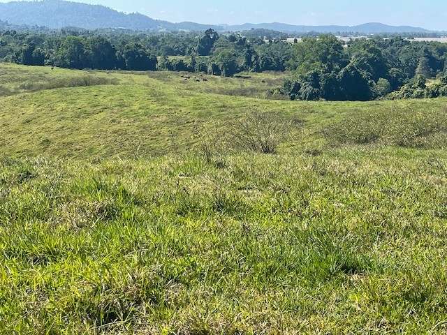 SILKWOOD For Sale by Farmbuy.com - image 23