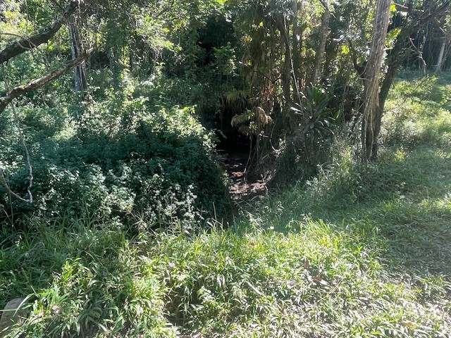 SILKWOOD For Sale by Farmbuy.com - image 32